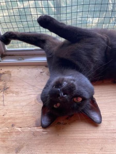 Rony&Fiona- einfach unzertrennlich