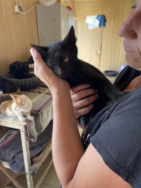 Rony&Fiona- einfach unzertrennlich