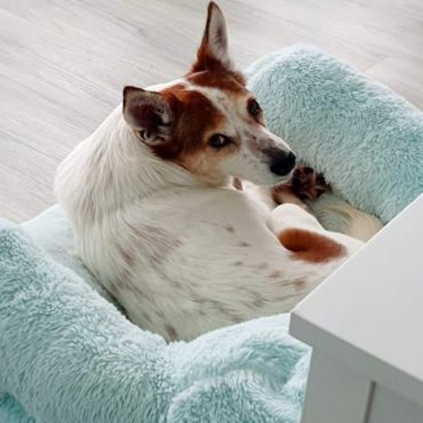 Melba ❤wartet in 40625 Düsseldorf