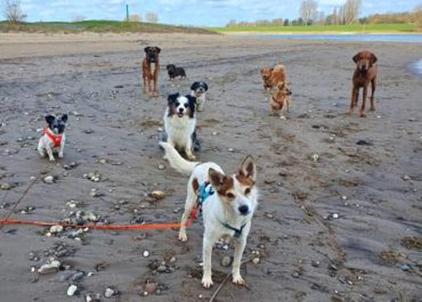 Melba ❤wartet in 40625 Düsseldorf