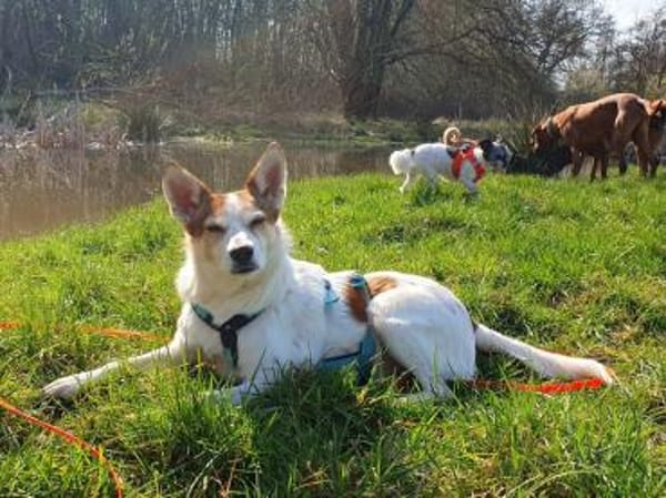 Melba ❤wartet in 40625 Düsseldorf