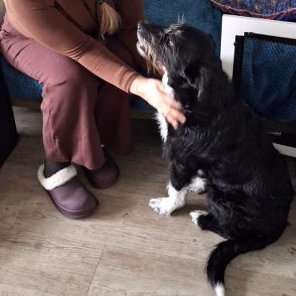 Lany ❤ wartet in 24852 Langstedt