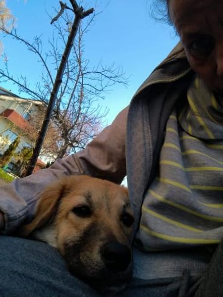 PANYA ❤ wartet in 72589 Westerheim