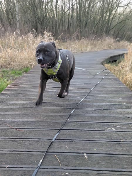 Paty n'interesse pas Expliquez-nous pourquoi...