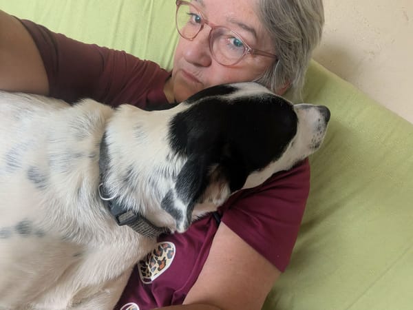 Vador l'adorable petit guerrier tripatte