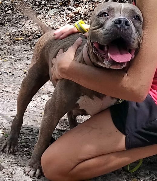 ✨️ ALMA ✨️ 🐶