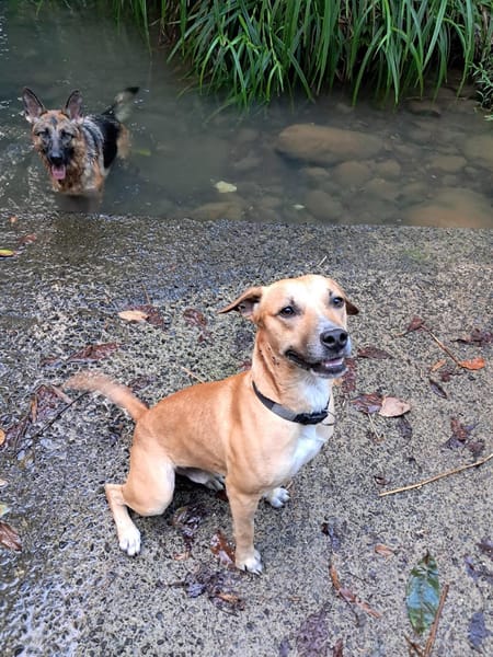 AÏKO la douceur des îles