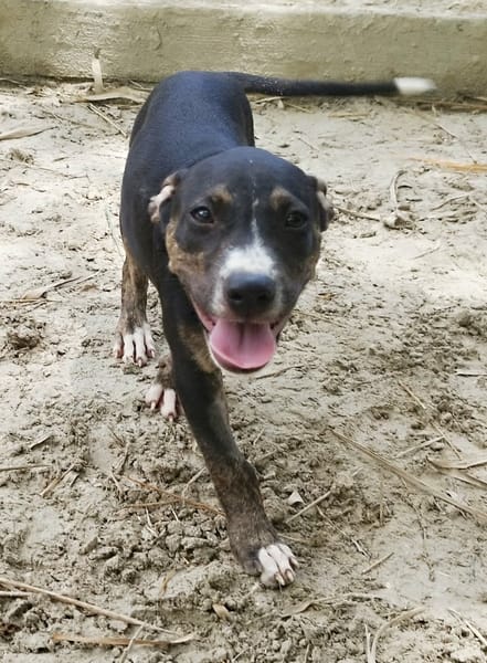 DARWIN un amour de bébé