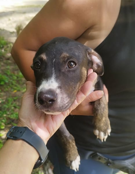 DARWIN un amour de bébé