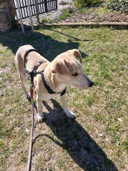 Süße Zeeva🌺 sucht liebevolles Heim