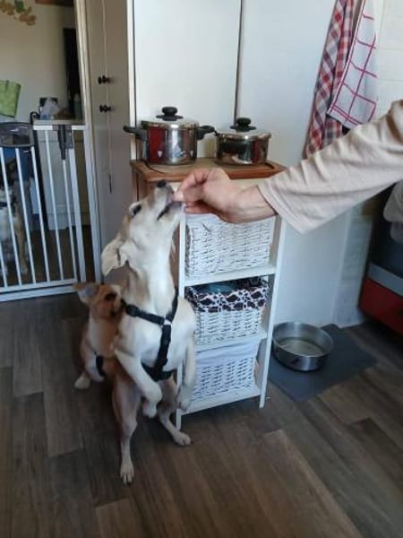 Süße Zeeva🌺 sucht liebevolles Heim