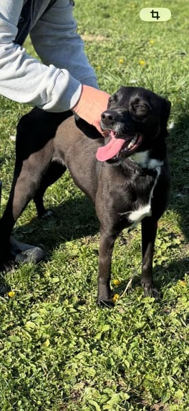 Liebes Mädchen Berta sucht eine Familie