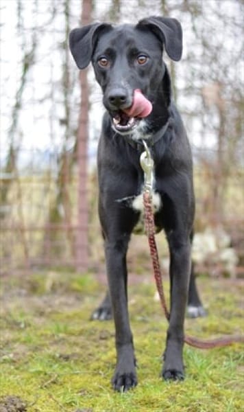 Liebes Mädchen Berta sucht eine Familie