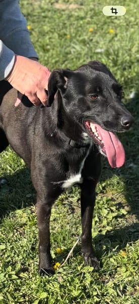 Liebes Mädchen Berta sucht eine Familie