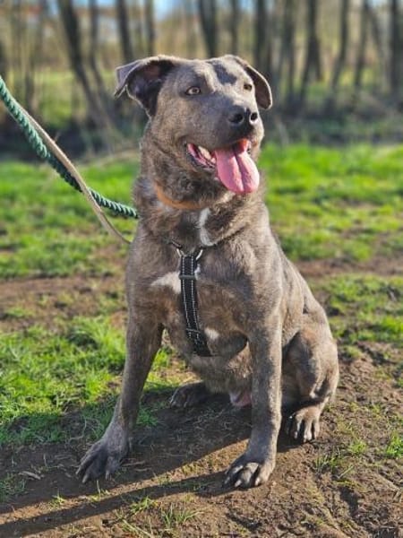 Zauberhafte Kuschelmaus Chloe