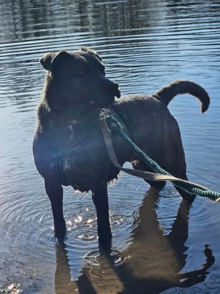 Zauberhafte Kuschelmaus Chloe
