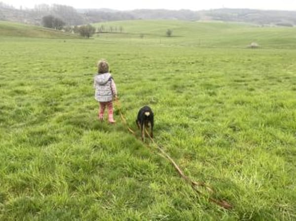Xenon wünscht sich seine Familie
