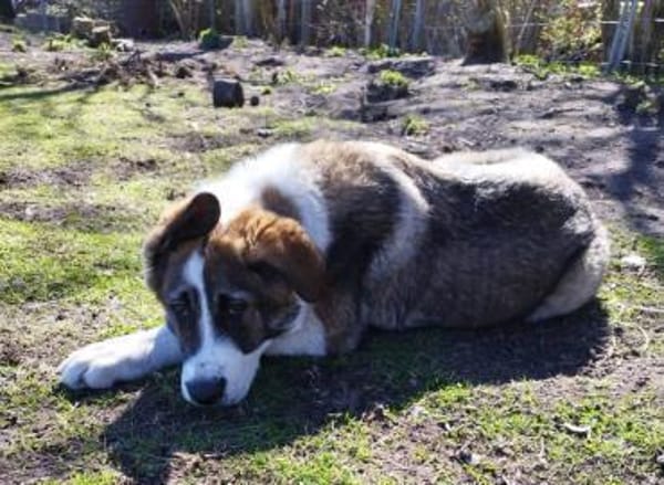 Yves ❤ in 26524 Hage