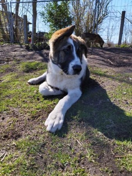 Yves ❤ in 26524 Hage