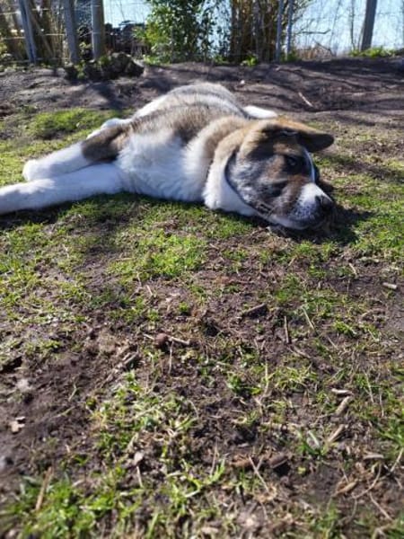 Yves ❤ in 26524 Hage