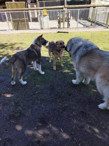 Yves ❤ in 26524 Hage