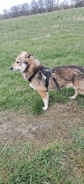 Verschmuster Teddy🌺 sucht sein Heim