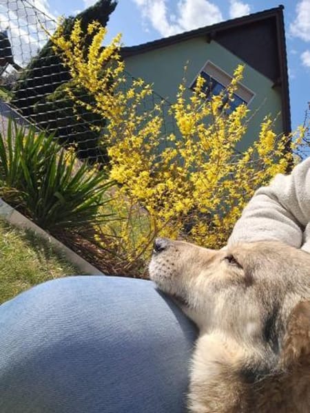 Verschmuster Teddy🌺 sucht sein Heim