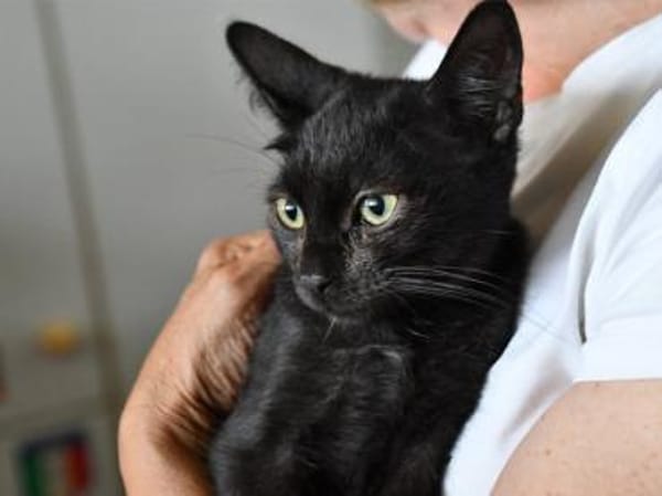 Pascal möchte endlich ankommen