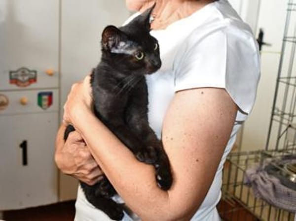 Pascal möchte endlich ankommen