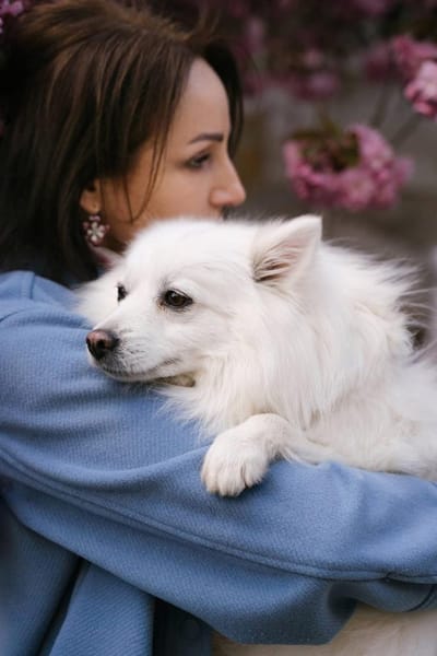 Charlie sucht sein liebevolles Zuhause