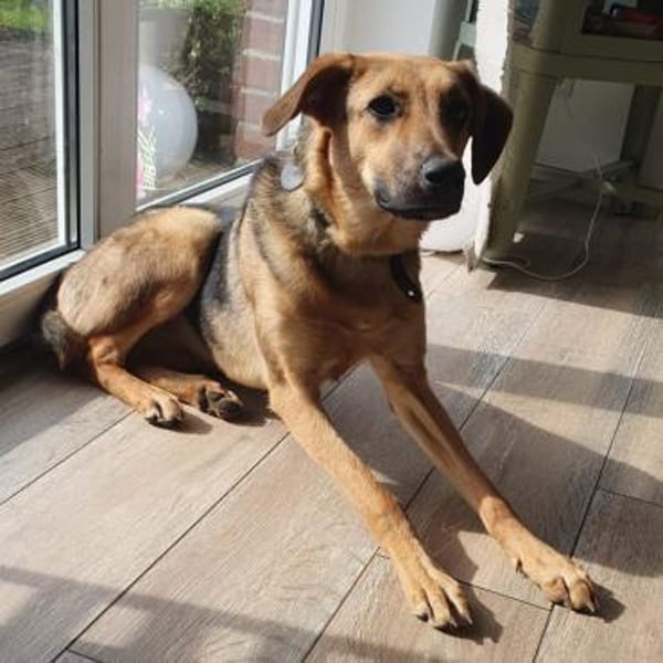 Elfi💕dabei sein, ist alles