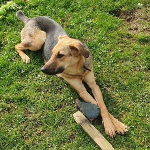 Elfi💕dabei sein, ist alles