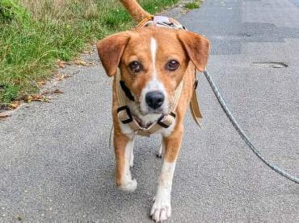 Lucero ist ein toller Familienbegleiter