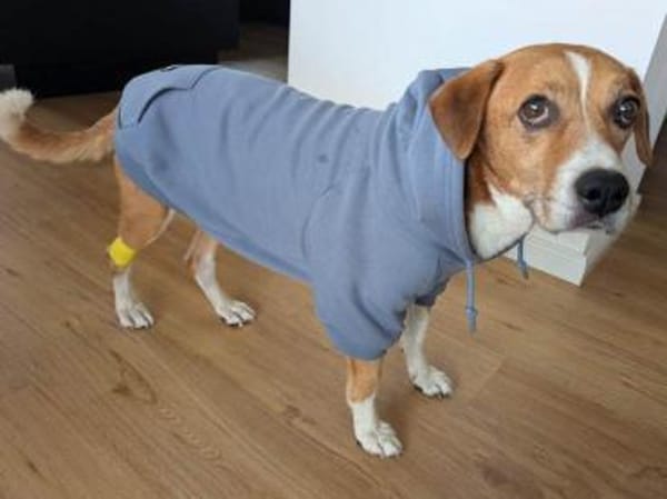 Lucero ist ein toller Familienbegleiter