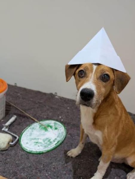 Lucero ist ein toller Familienbegleiter