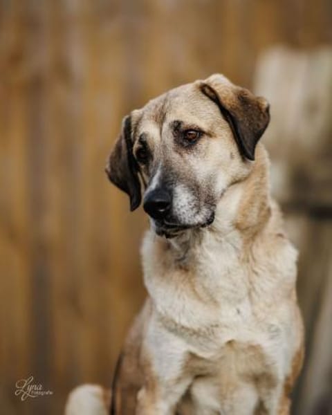 Samanta sucht ihr endgültiges Zuhause