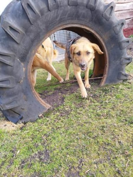 Erika ❤ in 26524 Hage