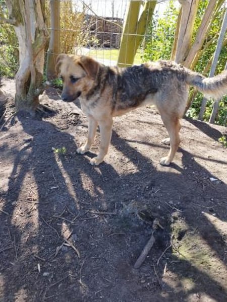 Erika ❤ in 26524 Hage