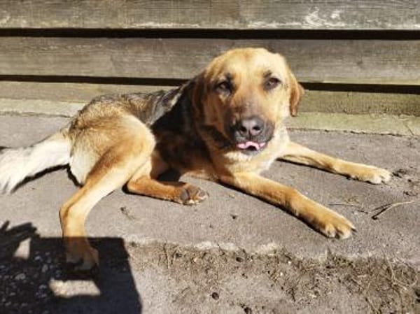 Erika ❤ in 26524 Hage