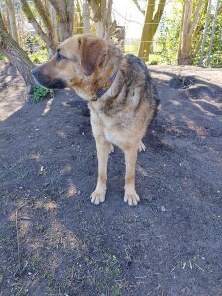 Erika ❤ in 26524 Hage