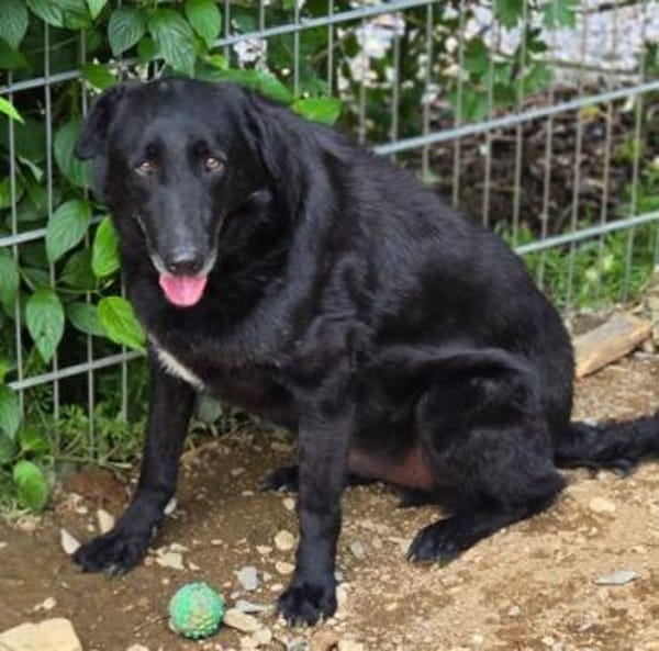 KARAM sucht Familienanschluss