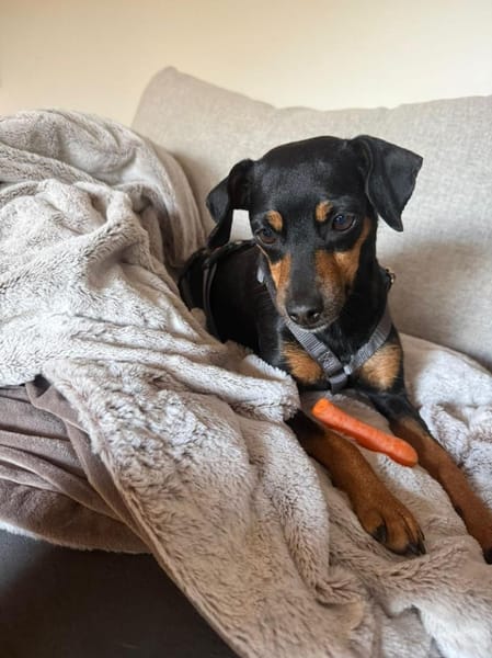 Mia wartet südlich von Hamburg!