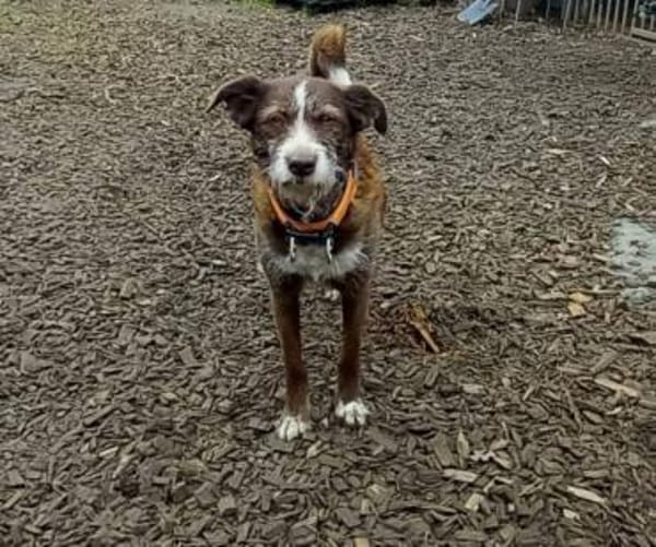 Unser Sonnenschein Kira