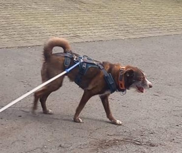 Unser Sonnenschein Kira