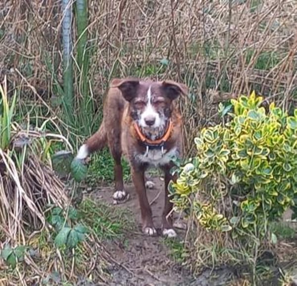 Unser Sonnenschein Kira