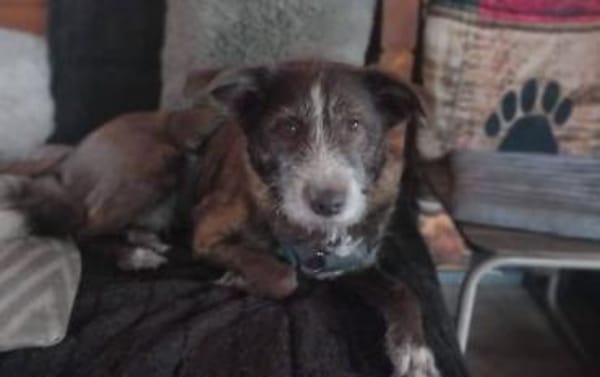 Unser Sonnenschein Kira