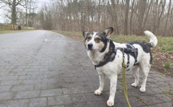 Noa ist bereit für ein neues Leben