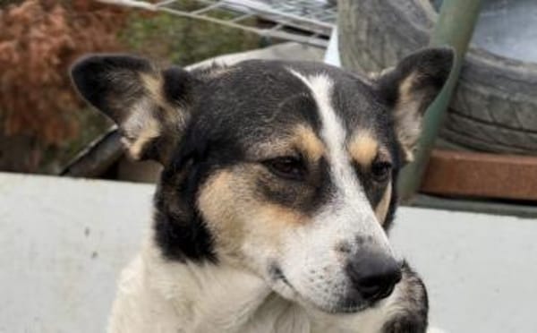 Noa ist bereit für ein neues Leben