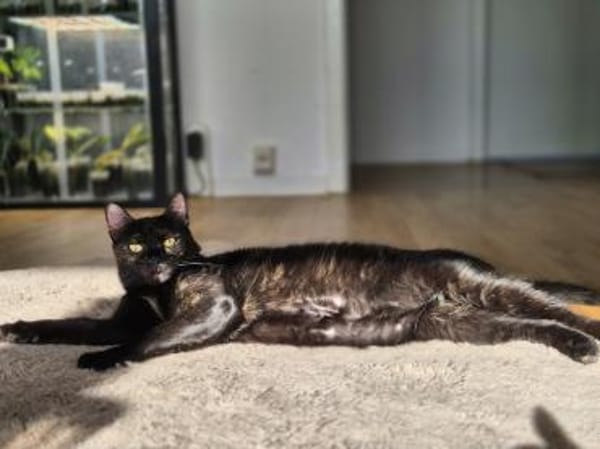 Verschmuste liebevolle Betty