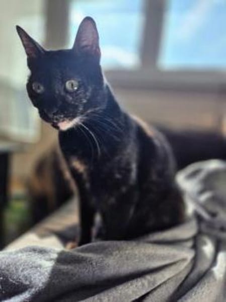 Verschmuste liebevolle Betty